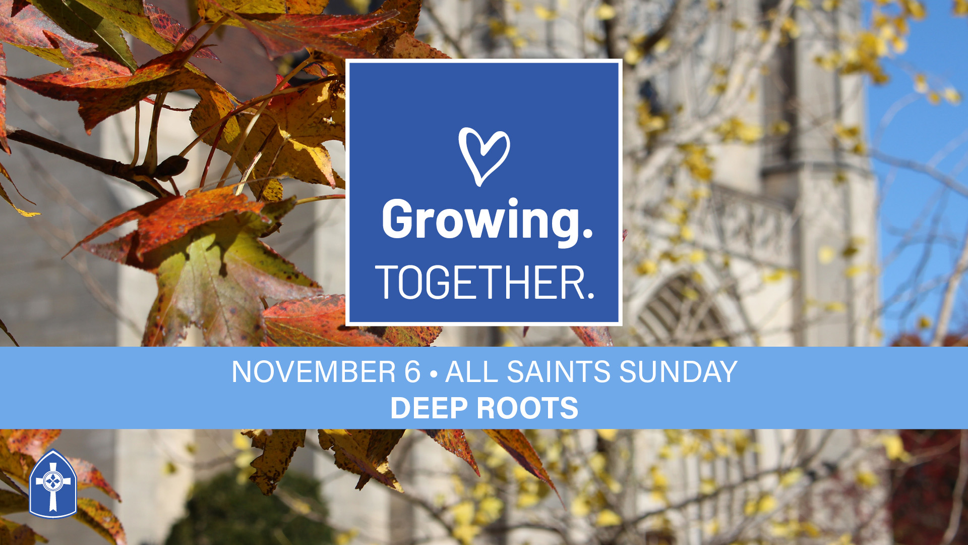 Deep Roots
